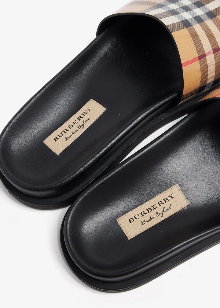 pl370542_8.jpg?ts=20240710032550