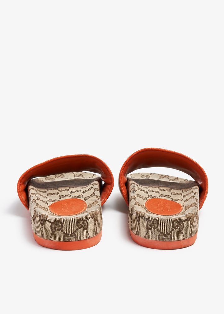 pl370913_6.jpg?ts=20240703033639