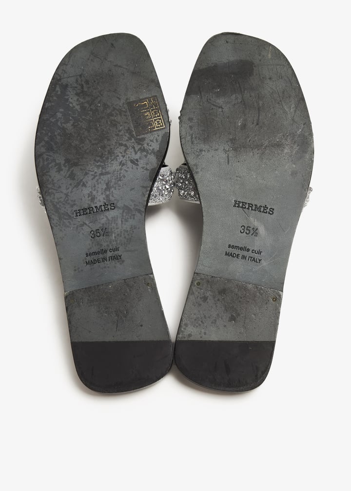 pl371176_7.jpg?ts=20240711030528