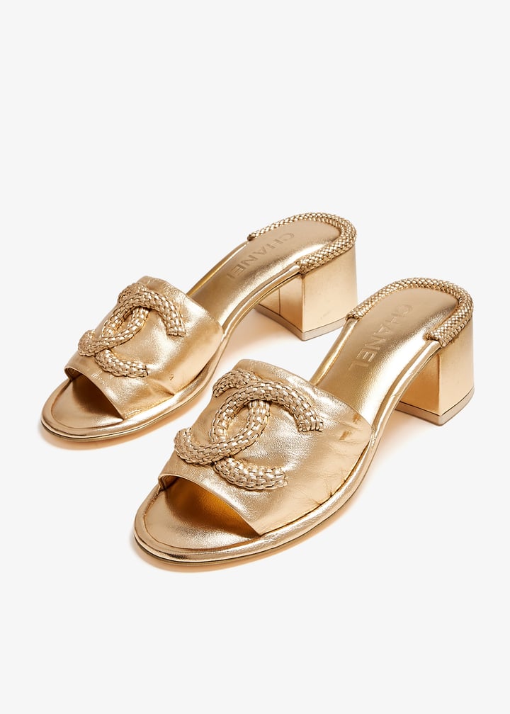 pl372256_3.jpg?ts=20240717034559