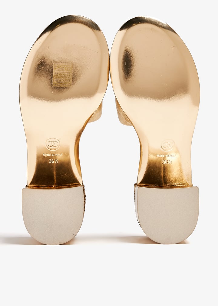 pl372256_5.jpg?ts=20240717034559