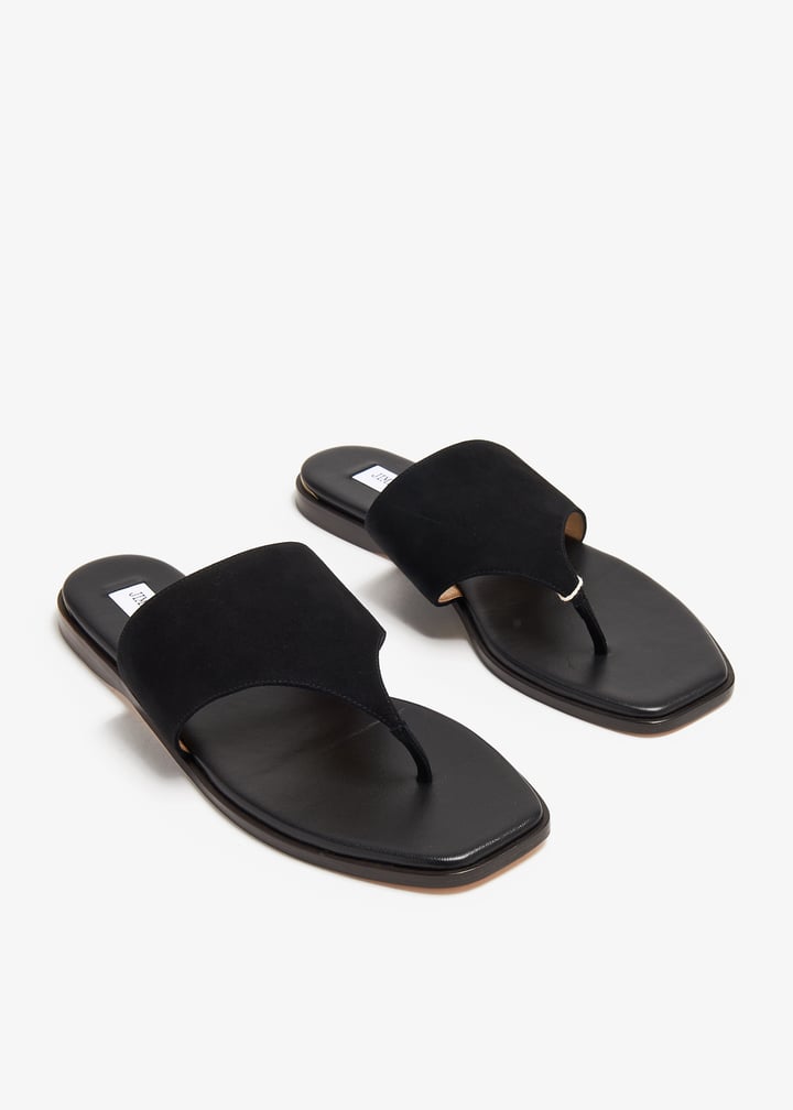 pl372976_3.jpg?ts=20240731035048