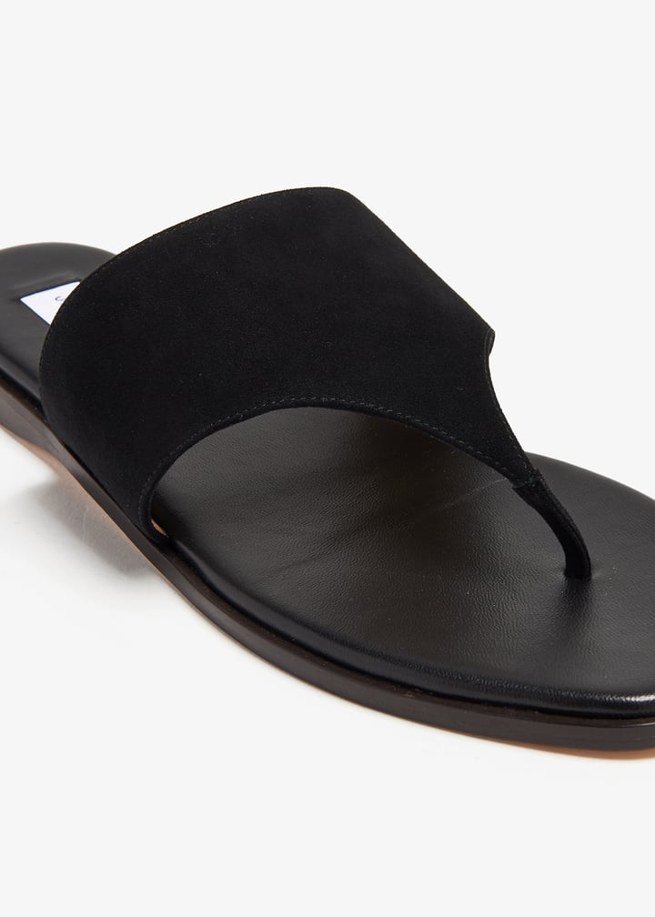 pl372976_5.jpg?ts=20240731035048