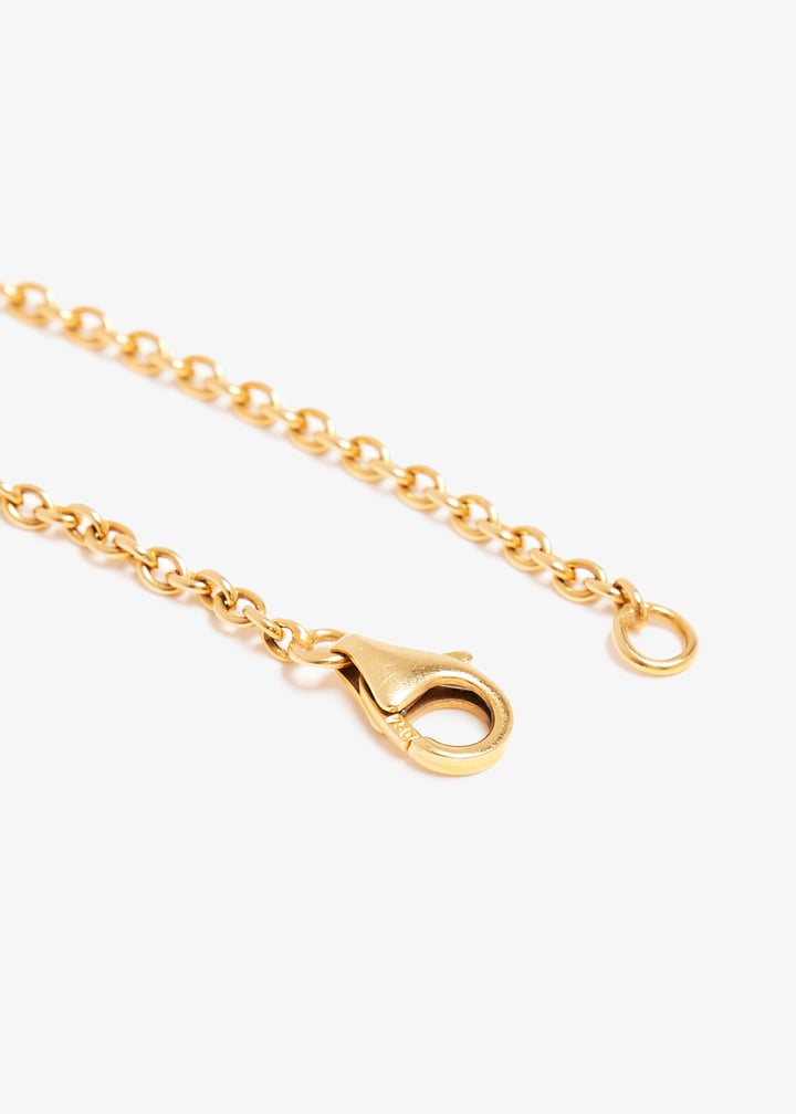 pl373650_4.jpg?ts=20240809035033