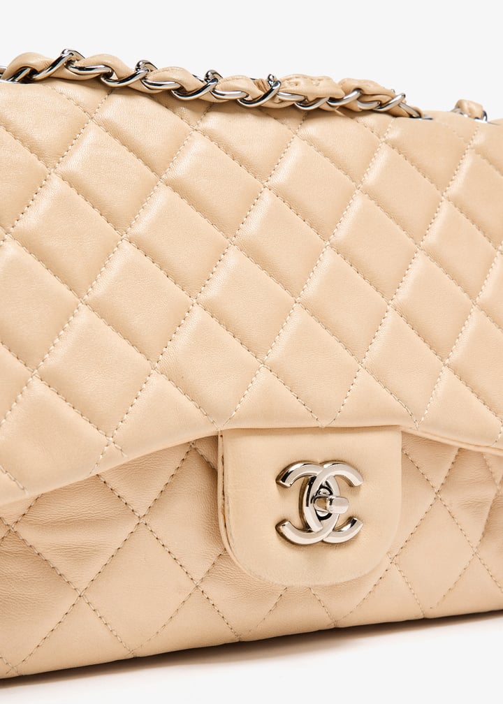 pl374450_3.jpg?ts=20240816033527