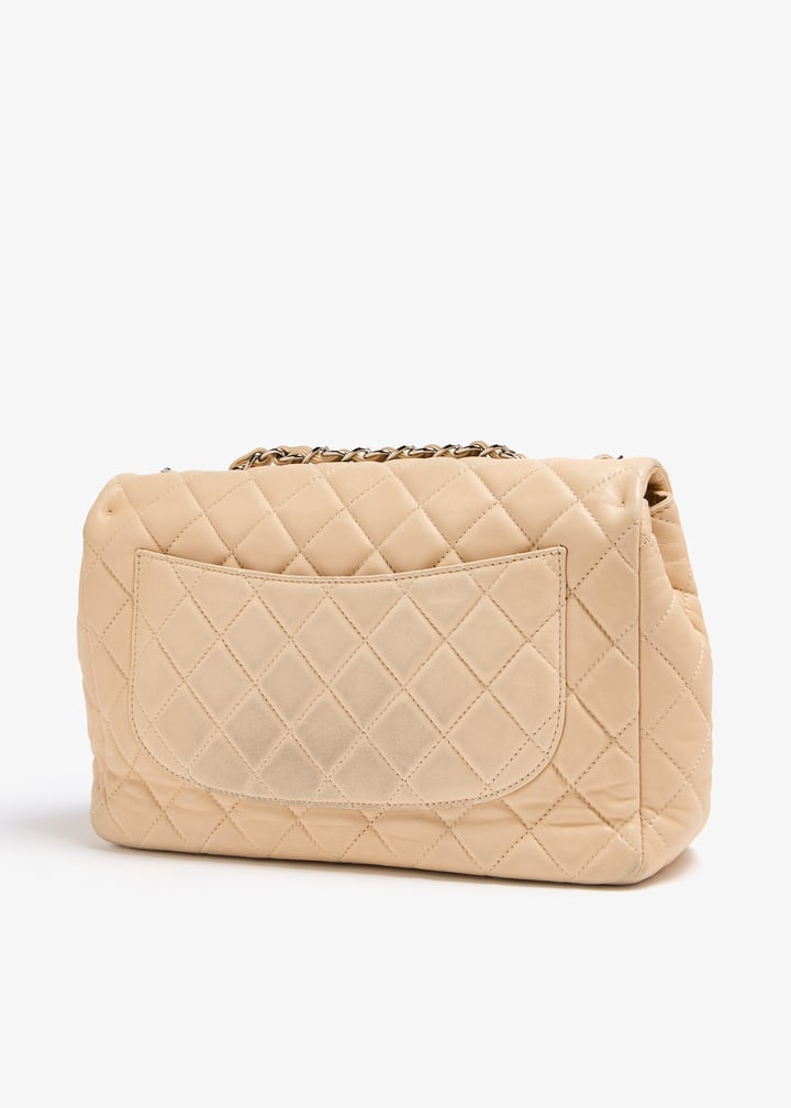 pl374450_4.jpg?ts=20240816033527