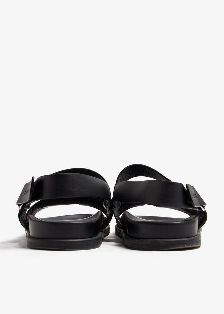 pl376037_5.jpg?ts=20240828035024