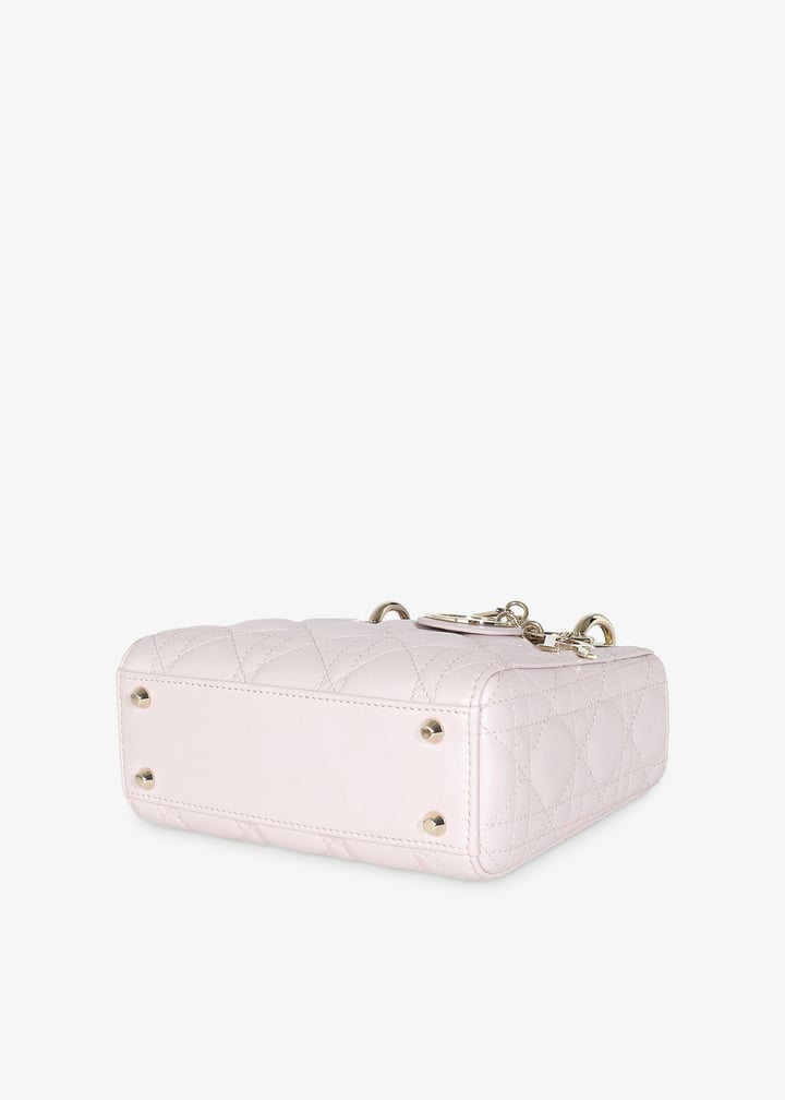 pl376096_4.jpg?ts=20241031034027