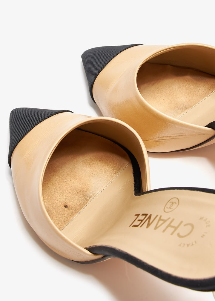 pl376937_5.jpg?ts=20241008030528