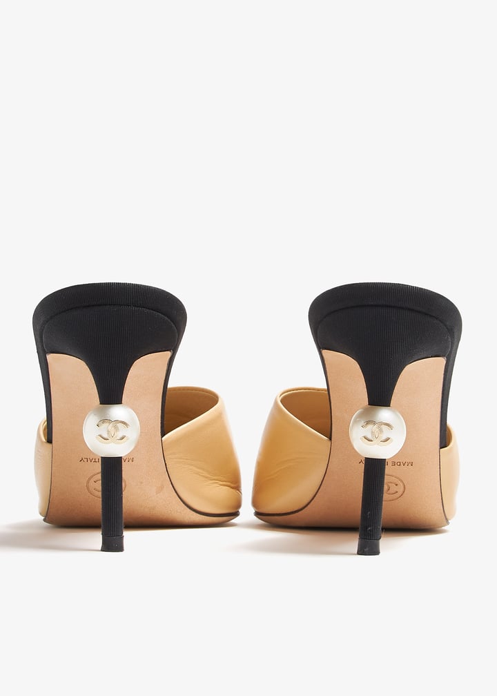 pl376937_6.jpg?ts=20241008030528