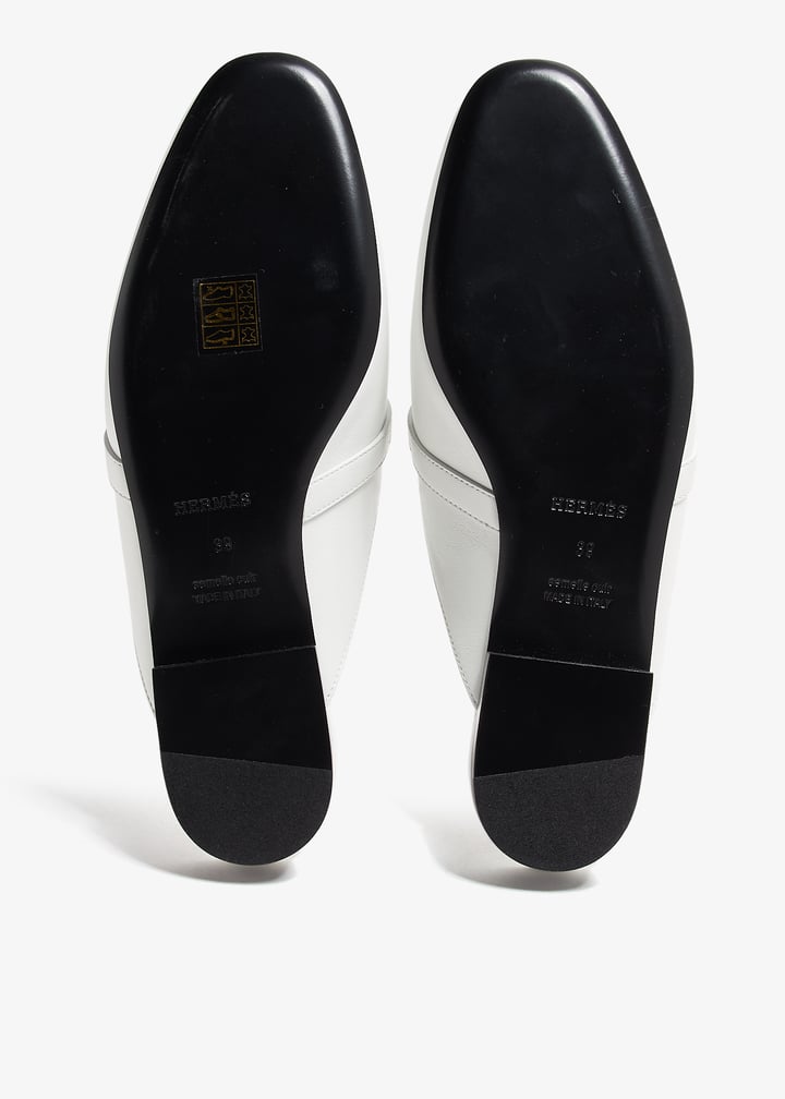 pl376960_6.jpg?ts=20240904032137