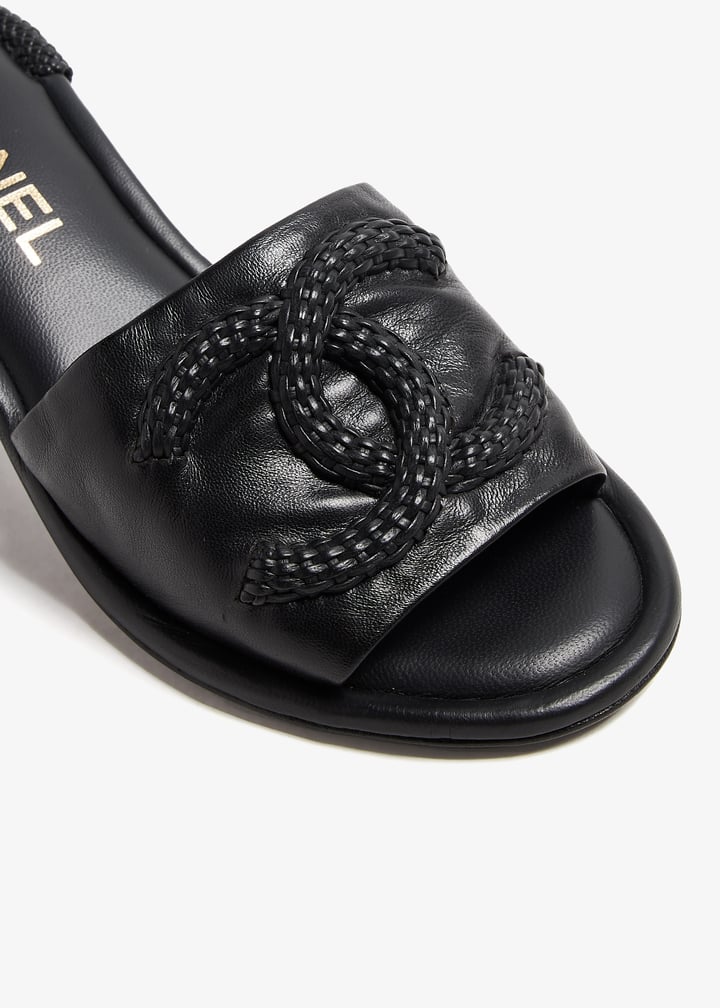 pl378314_5.jpg?ts=20240906034542