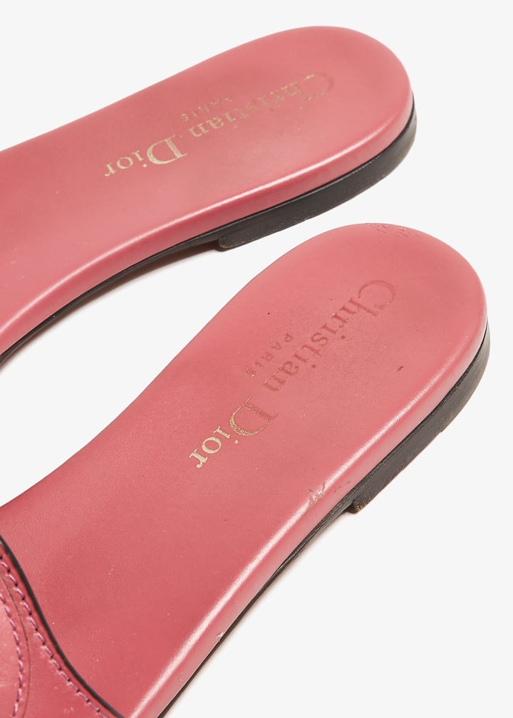 pl385279_5.jpg?ts=20240918041030