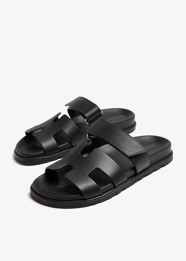 pl388856_3.jpg?ts=20240921043030