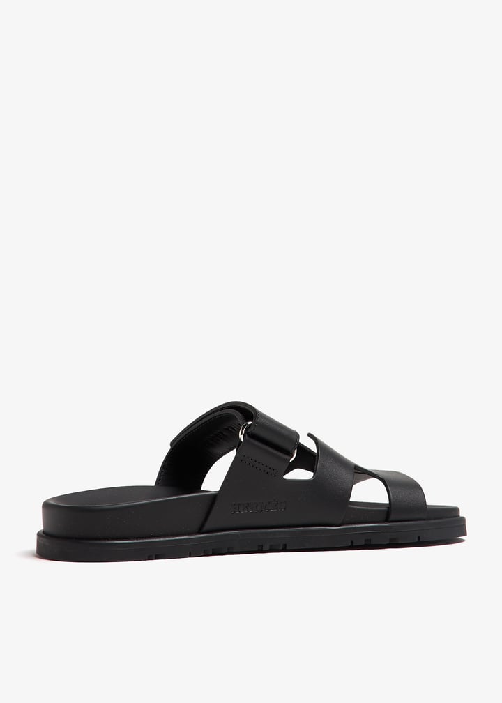 pl388856_4.jpg?ts=20240921043030