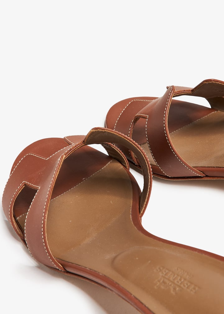 pl392288_5.jpg?ts=20241004035528