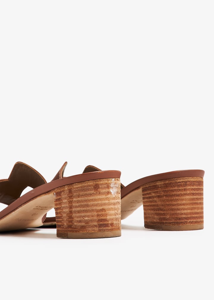 pl392288_6.jpg?ts=20241004035528