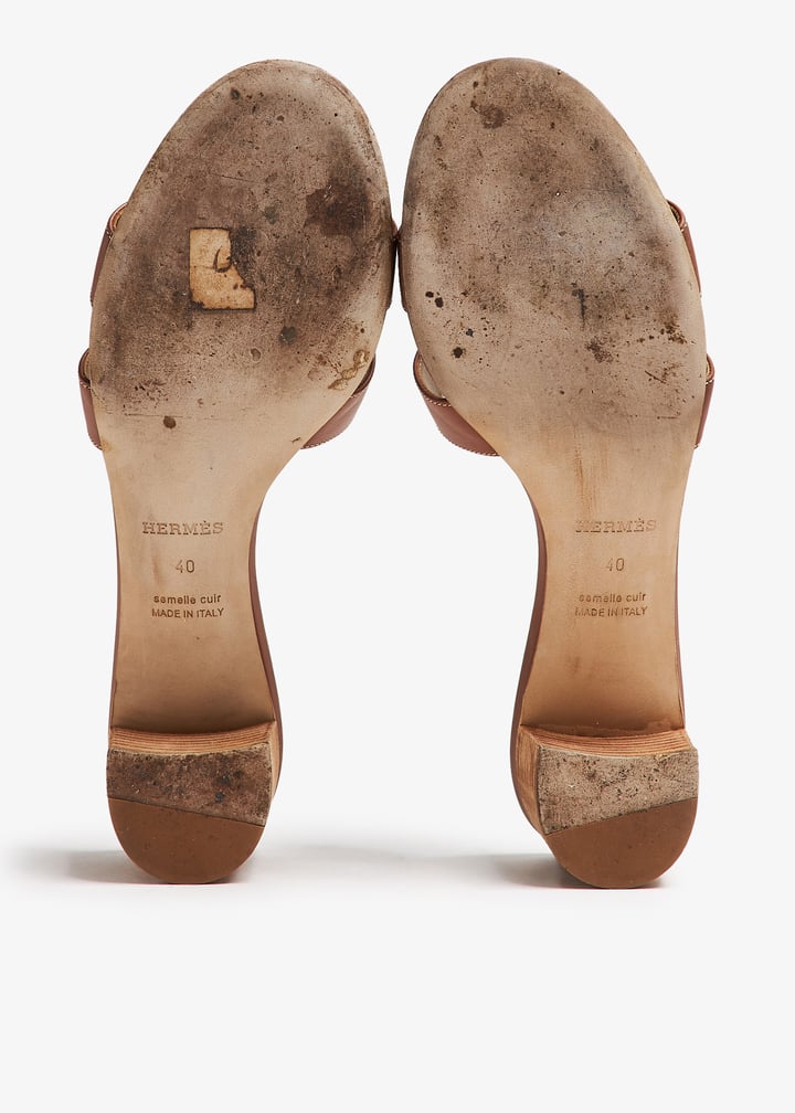 pl392288_7.jpg?ts=20241004035528