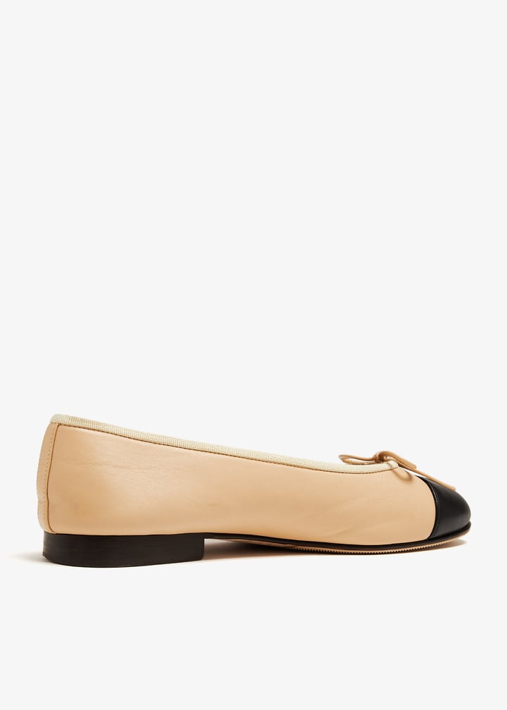 pl397120_4.jpg?ts=20241008035025