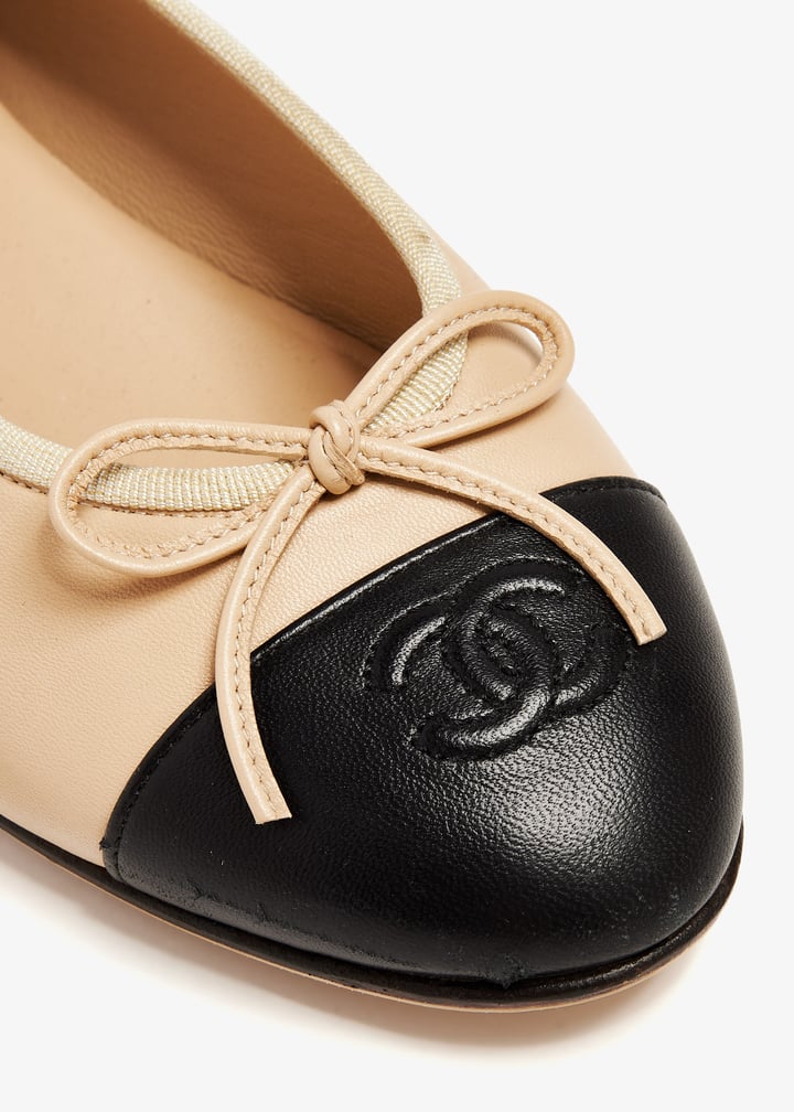 pl397120_5.jpg?ts=20241008035025