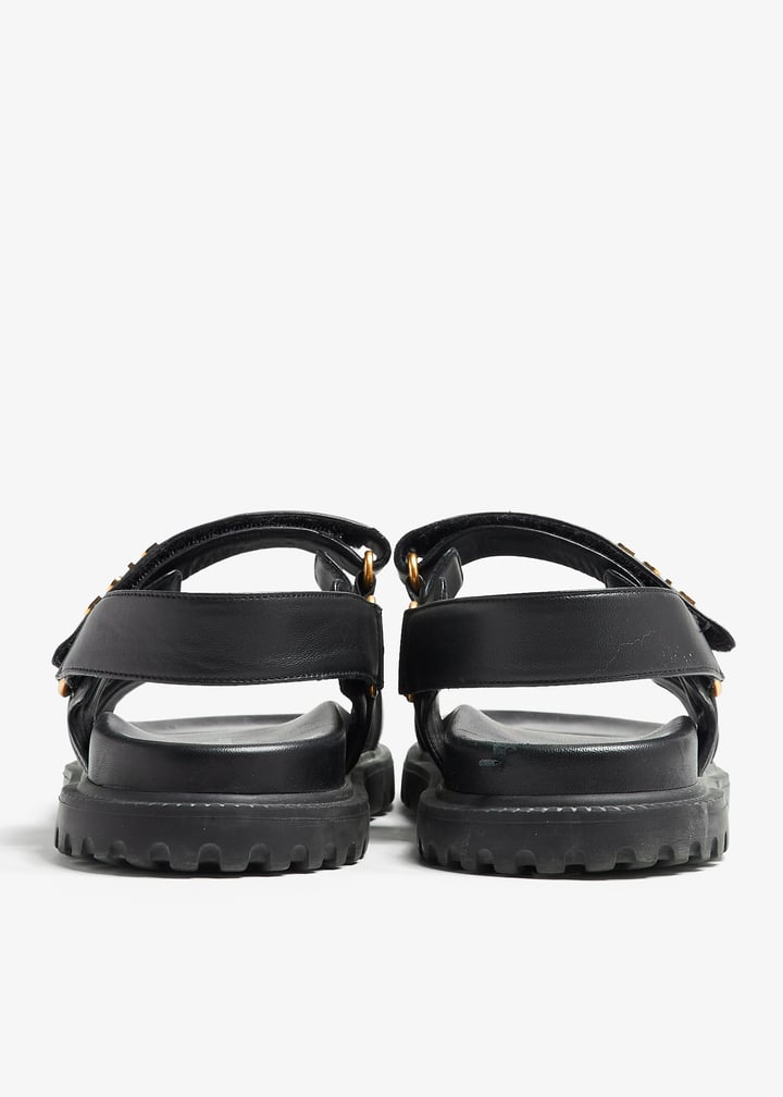 pl397975_6.jpg?ts=20241008030530