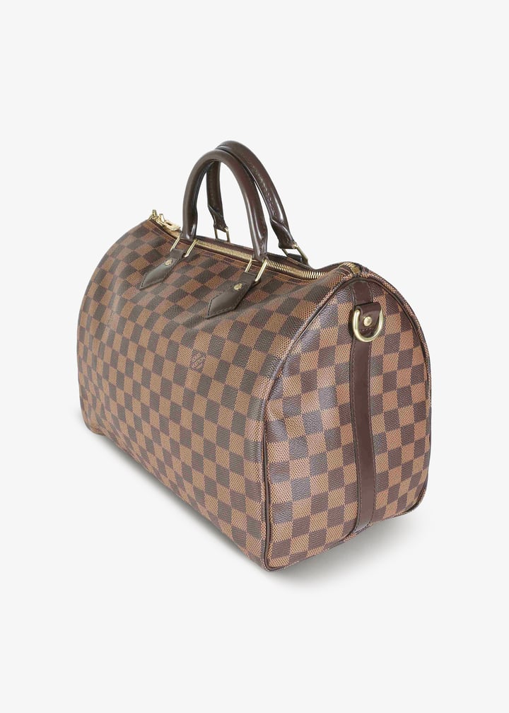 pl398604_2.jpg?ts=20241004035538