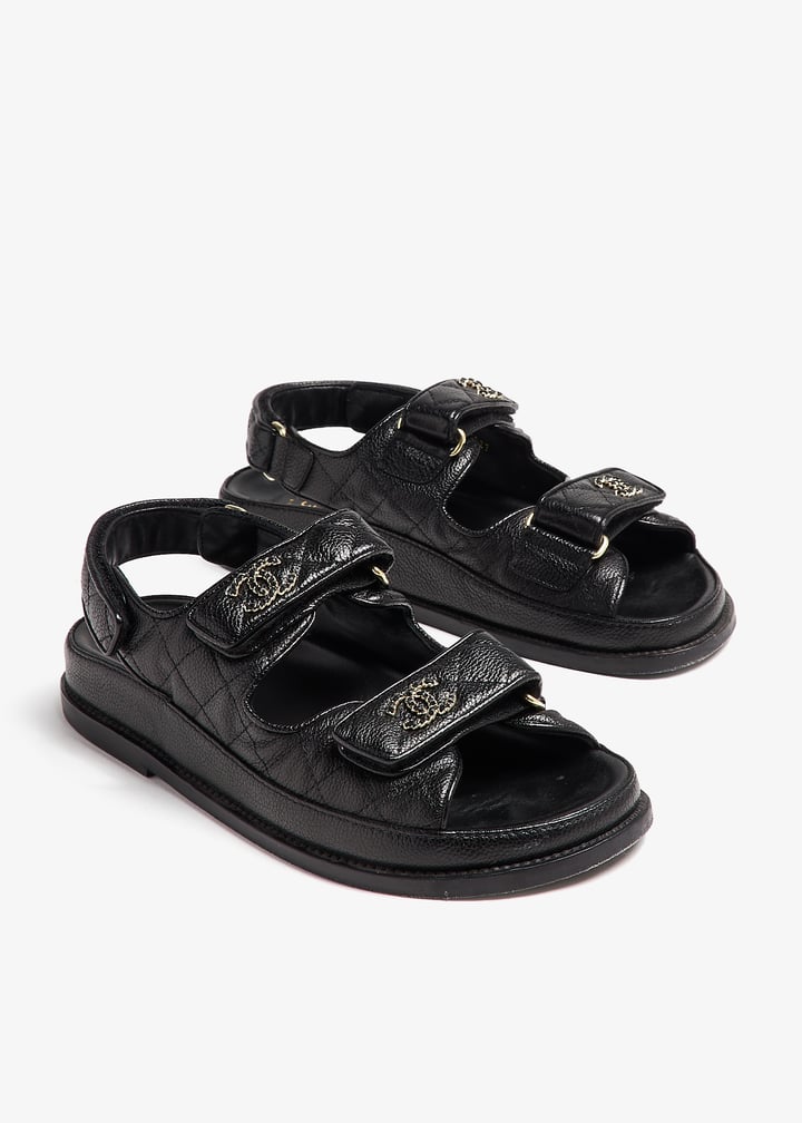 pl398853_3.jpg?ts=20241019030526