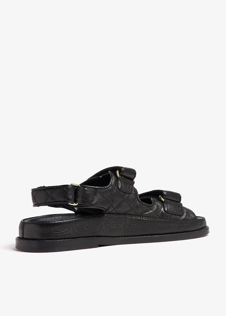 pl398853_4.jpg?ts=20241019030526