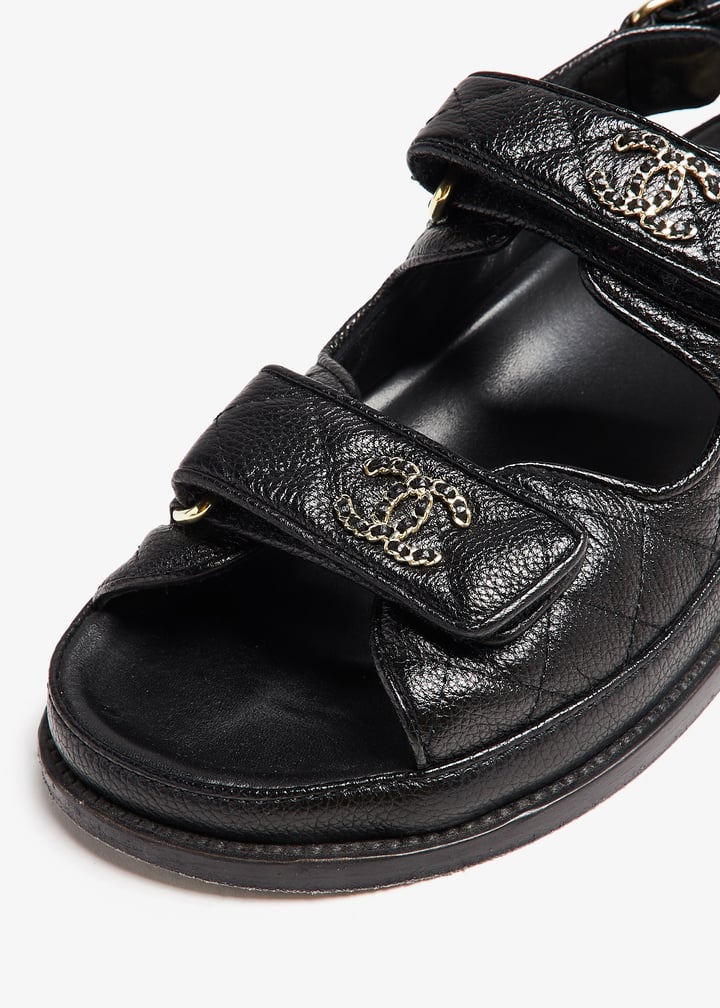 pl398853_5.jpg?ts=20241019030526