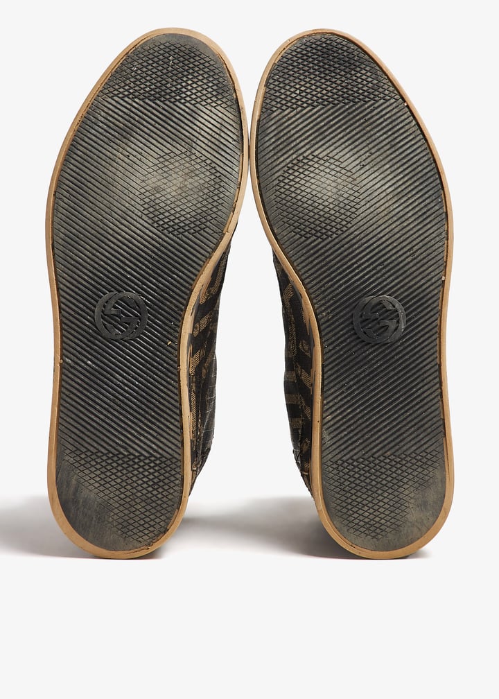 pl398876_7.jpg?ts=20241012030529