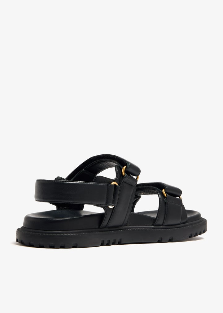 pl399312_4.jpg?ts=20241019040529