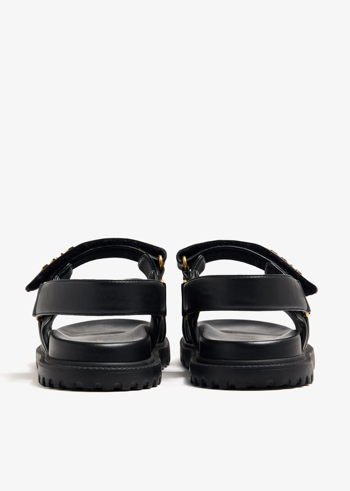 pl399312_5.jpg?ts=20241019040529