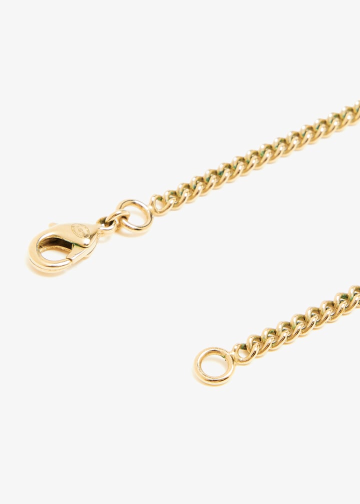 pl399385_4.jpg?ts=20241025042123