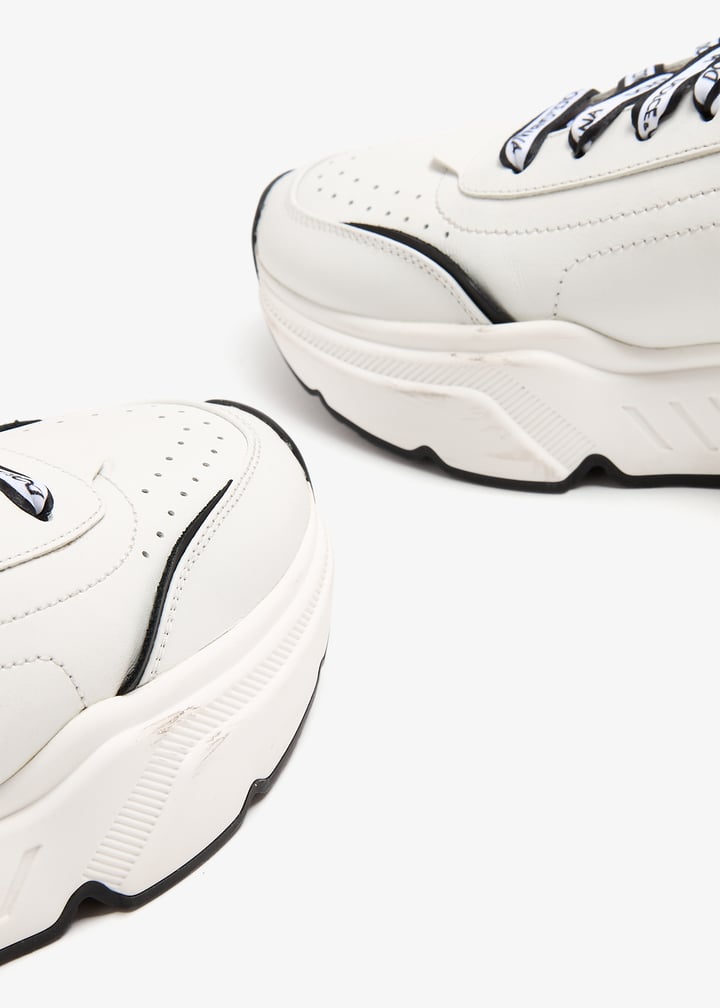 pl400107_8.jpg?ts=20241025031032