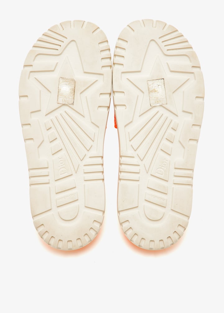 pl403742_6.jpg?ts=20241102035221