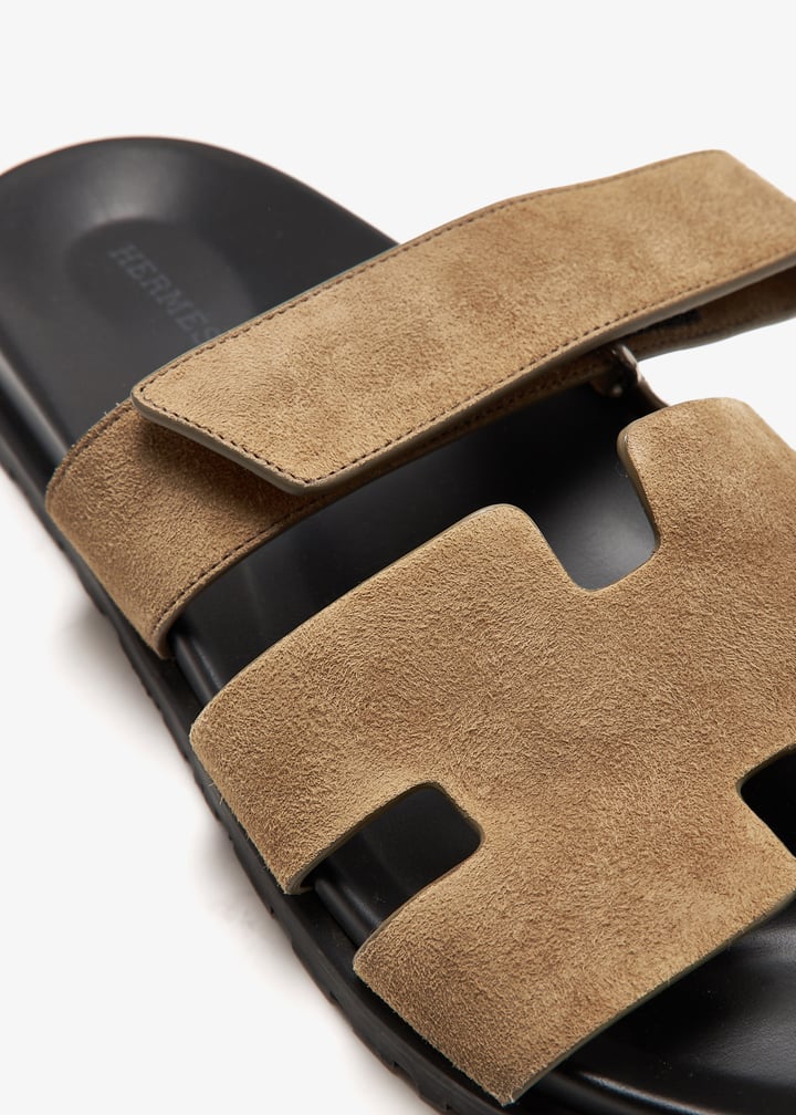 pl409635_5.jpg?ts=20241116040025