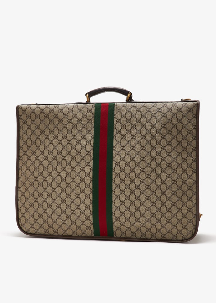 pl410342_3.jpg?ts=20241116040028