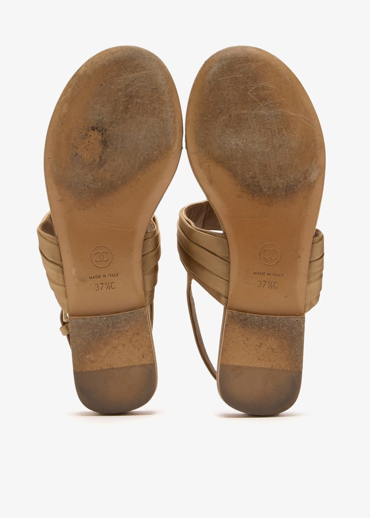 pl412025_7.jpg?ts=20241217131013