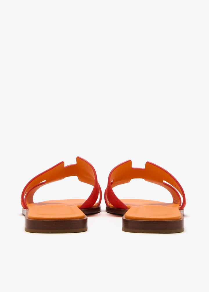 pl413430_5.jpg?ts=20241126025515