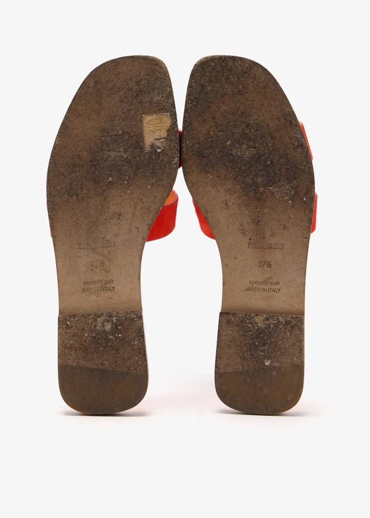 pl413430_6.jpg?ts=20241126025515