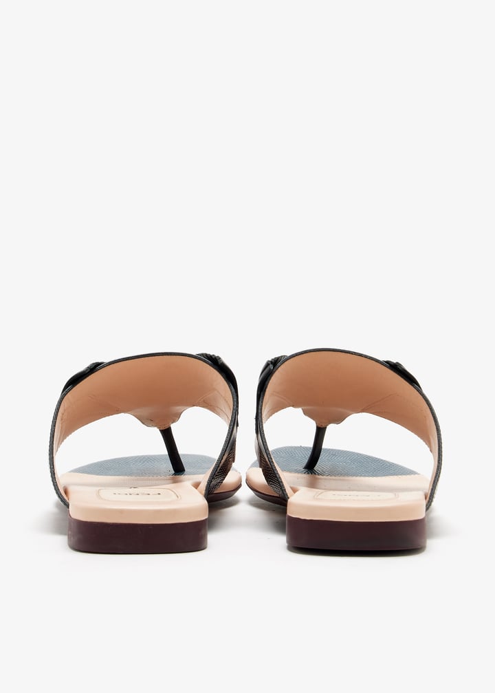 pl424408_6.jpg?ts=20241210035533