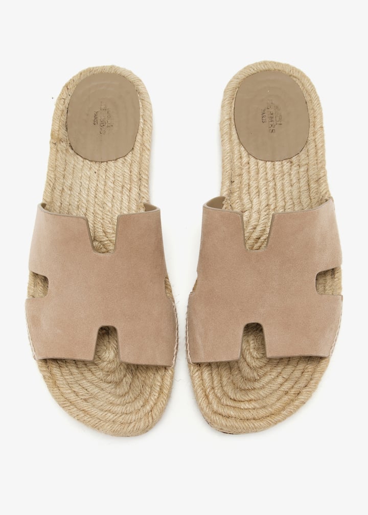 pl424540_3.jpg?ts=20241210035535