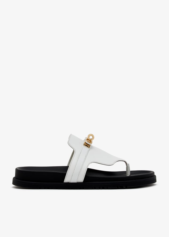 pl425223_1.jpg?ts=20241214035634