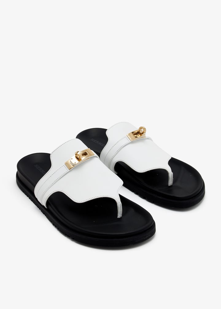 pl425223_3.jpg?ts=20241214035634