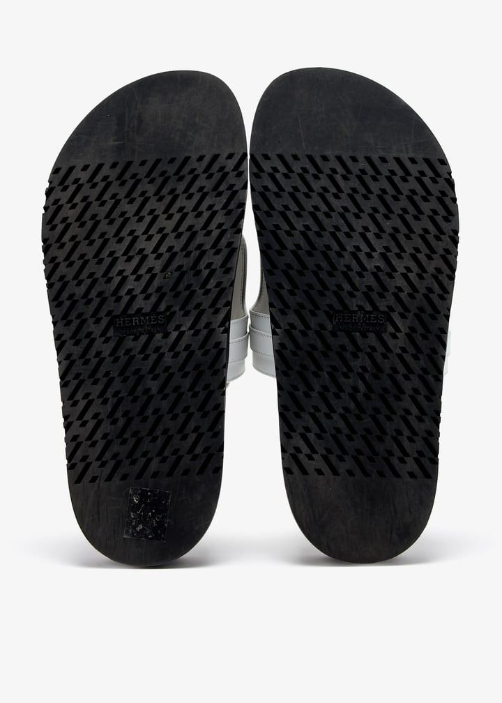 pl425223_7.jpg?ts=20241214035635