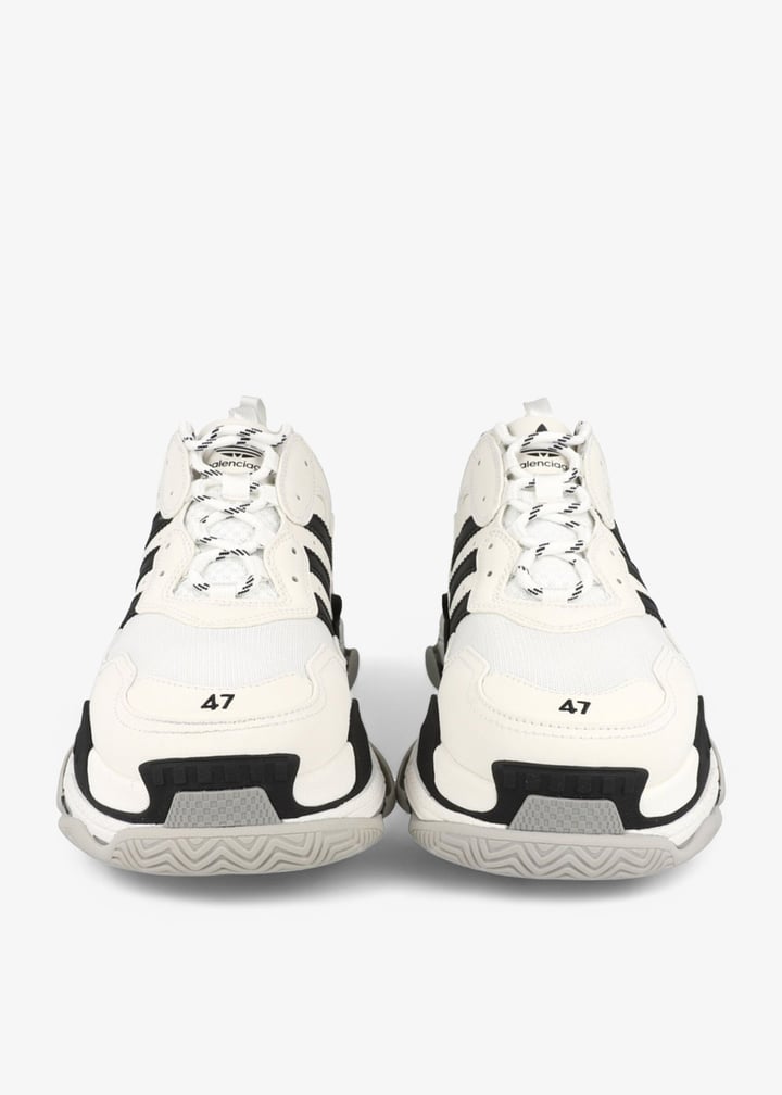 pl428398_3.jpg?ts=20241213042543