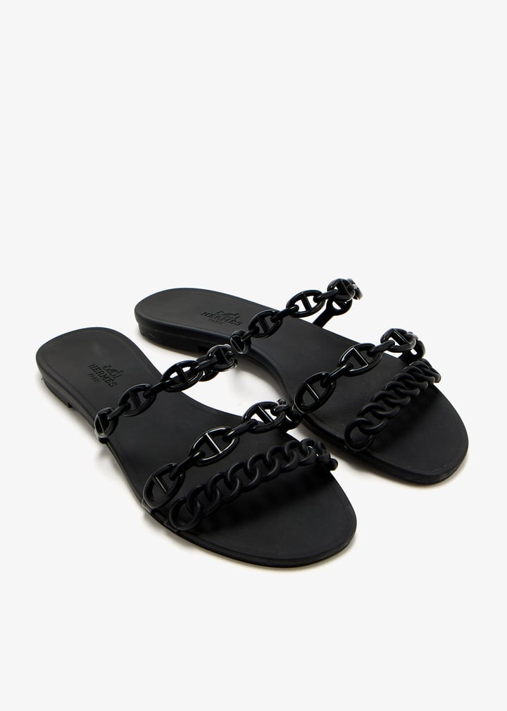 pl432447_3.jpg?ts=20250107030526