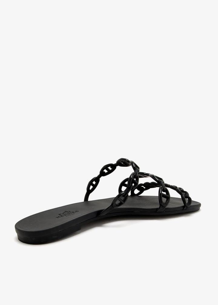 pl432447_4.jpg?ts=20250107030526