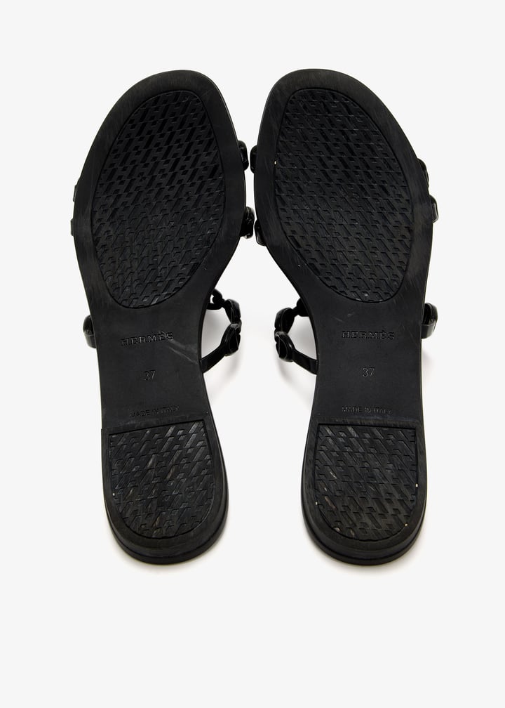 pl432447_7.jpg?ts=20250107030526