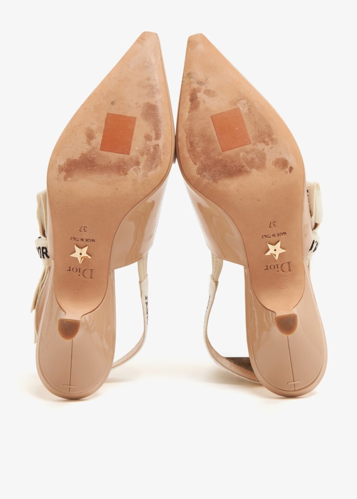 pl432825_7.jpg?ts=20241231101531